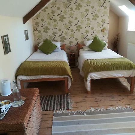Y Garreg Wen Bed & Breakfast Llanybyther Dış mekan fotoğraf