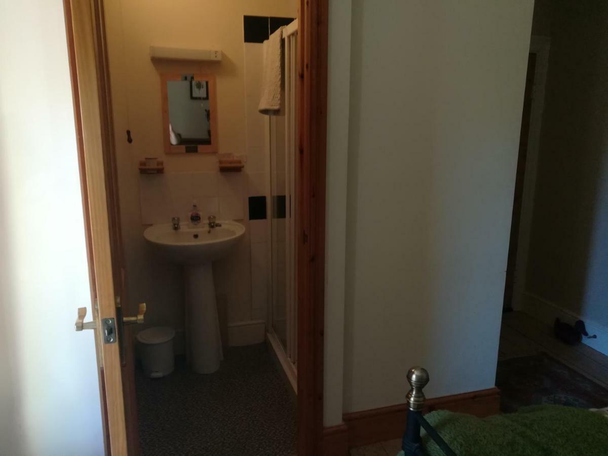 Y Garreg Wen Bed & Breakfast Llanybyther Dış mekan fotoğraf