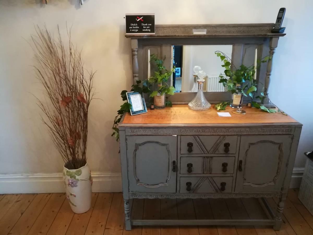 Y Garreg Wen Bed & Breakfast Llanybyther Dış mekan fotoğraf