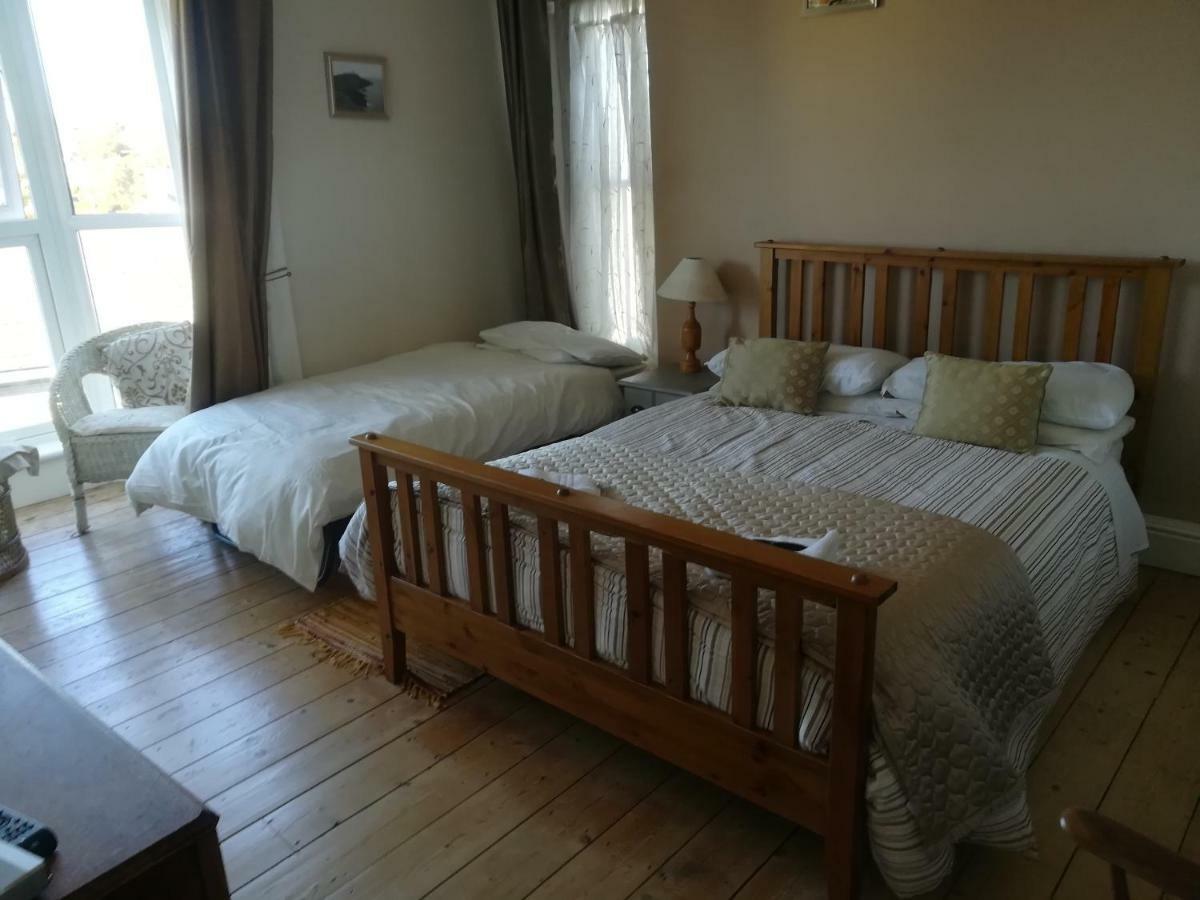 Y Garreg Wen Bed & Breakfast Llanybyther Dış mekan fotoğraf