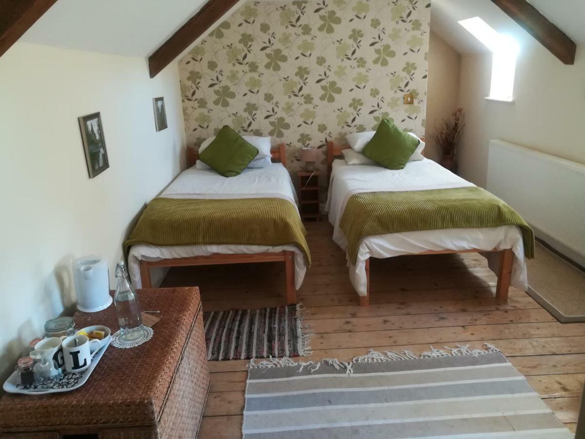 Y Garreg Wen Bed & Breakfast Llanybyther Dış mekan fotoğraf