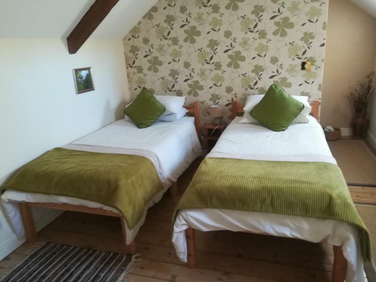 Y Garreg Wen Bed & Breakfast Llanybyther Dış mekan fotoğraf
