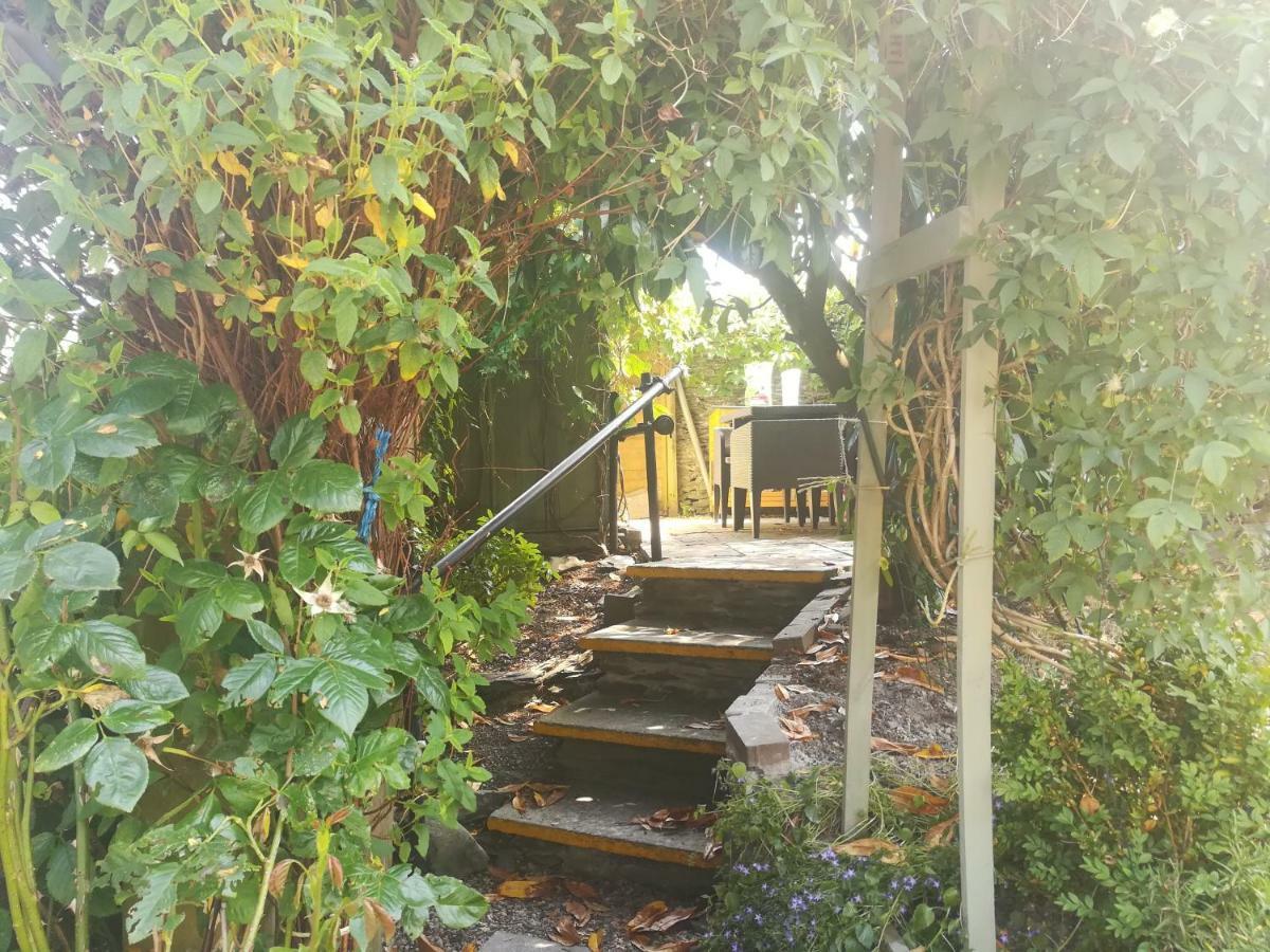 Y Garreg Wen Bed & Breakfast Llanybyther Dış mekan fotoğraf